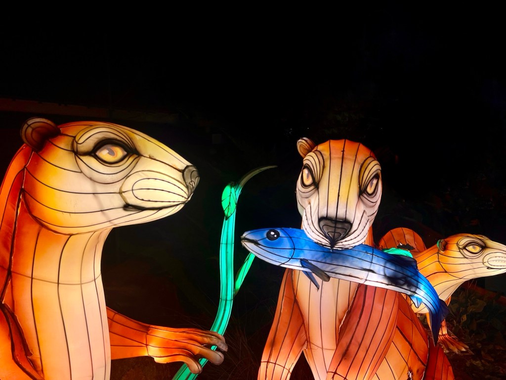 Photo of the festival of the lights wildlife in Alabama.
