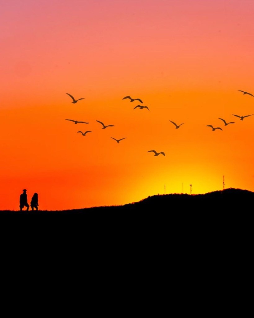Birds flying overhead as a couple passes by below, captured in a pictorialist style with soft, artistic tones.