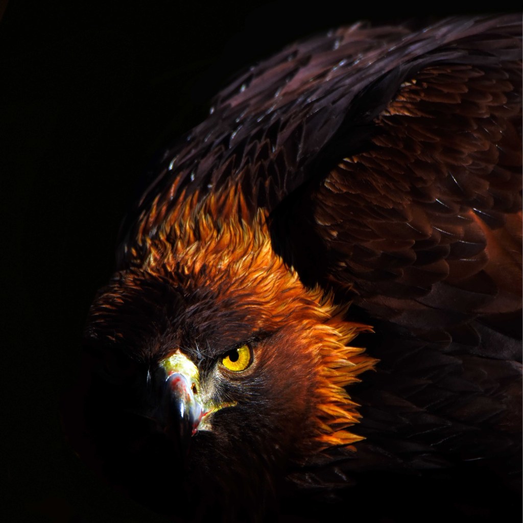 The Old You: The Source of Spiritual&nbsp;Battles